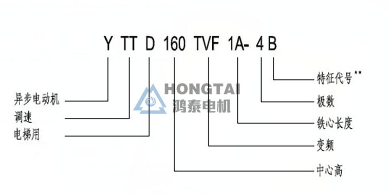 YTTD型號(hào)說(shuō)明.JPG